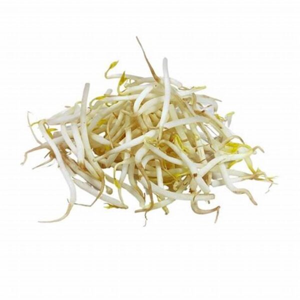 Raices chinas (CAJA)